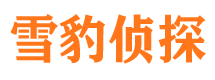 高唐外遇出轨调查取证